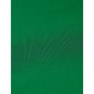 Снимка на SCOTCH&SODA WOMEN'S MIDI BIAS SKIRT IN BRIGHT GREEN