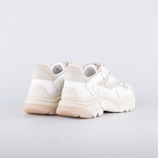 Picture of ASH WOMEN'S ADDICT SNEAKERS IN WHITE/GOLD