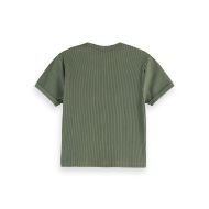 Снимка на SCOTCH&SODA WOMEN'S BABY RIB T-SHIRT IN THYME 2