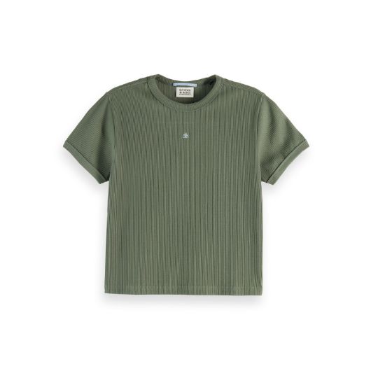 Снимка на SCOTCH&SODA WOMEN'S BABY RIB T-SHIRT IN THYME