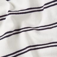 Picture of G-STAR WOMEN'S A LINE STRIPE BOXY T-SHIRT IN OSAKA BLUE/GRANITE GREEN DOUBLE STRIPE 7