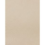 Picture of SCOTCH&SODA WOMEN'S TENCEL UTILITY SWEATSHIRT IN BEIGE 3