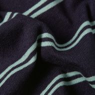 Picture of G-STAR WOMEN'S A LINE STRIPE BOXY T-SHIRT IN OSAKA BLUE/GRANITE GREEN DOUBLE STRIPE 7