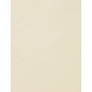 Picture of SCOTCH&SODA WOMEN'S CORE JERSEY WOVEN TANK IN OFF WHITE 3