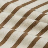 Picture of G-STAR WOMEN'S STRIPE EYBEN SLIM TOP 2.0 IN WHITEBAIT/TEAK STRIPE 7