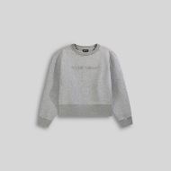 Снимка на GAS ДАМСКИ СУИТШЪРТ JADDA NEW C.NECK 2923 SOFT GREY MEL. 6