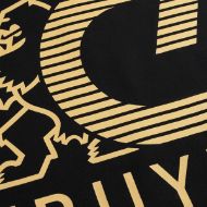 Снимка на CRUYFF МЪЖКИ СУИТШЪРТ C-LION ALPHA HOODIE BLACK/GOLD 3