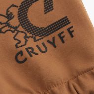 Picture of CRUYFF MEN'S C-LION ALPHA JOGGERS NUTHATCH BROWN 3