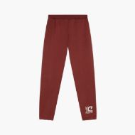Picture of CRUYFF MEN'S C-LION ALPHA JOGGERS FIRED BRICK 1