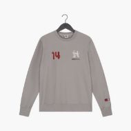 Picture of CRUYFF MEN'S HERITAGE JOHAN SWEATSHIRT CREWNECK GREY MELANGE 1