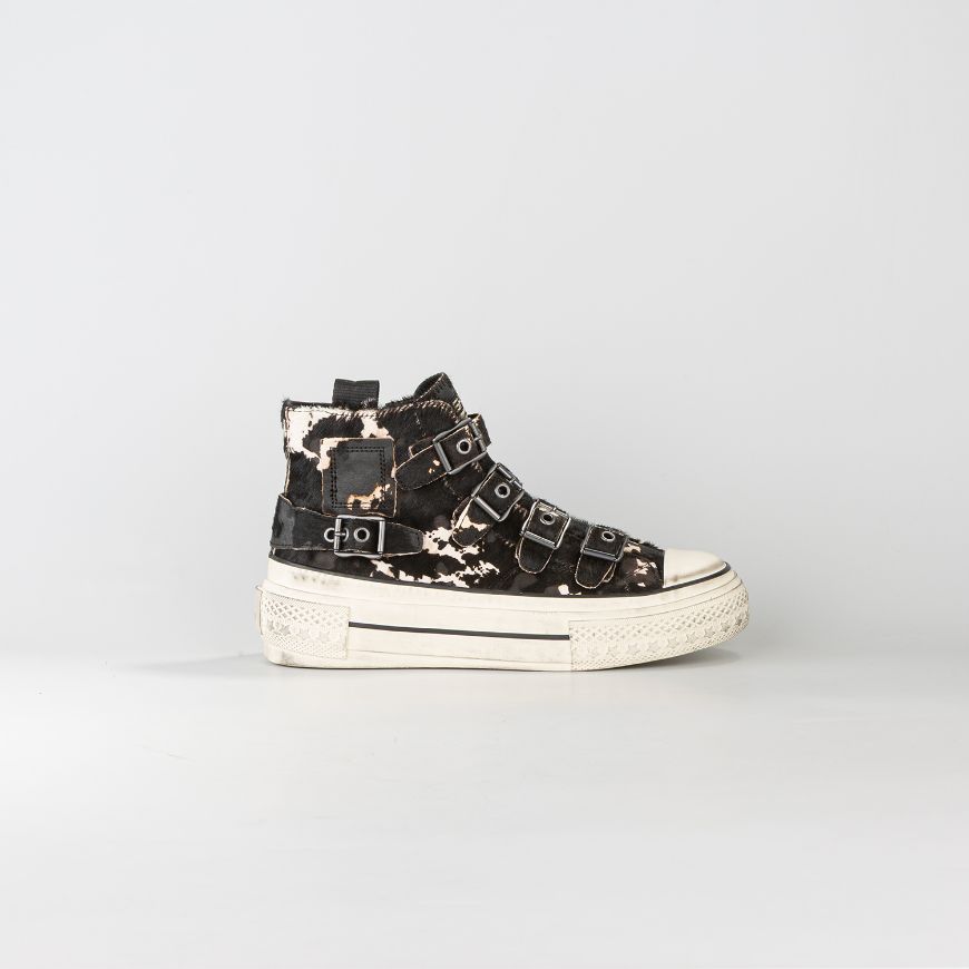 Picture of ASH WOMEN'S RAINBOW HIGH SNEAKER EDGY BLACK